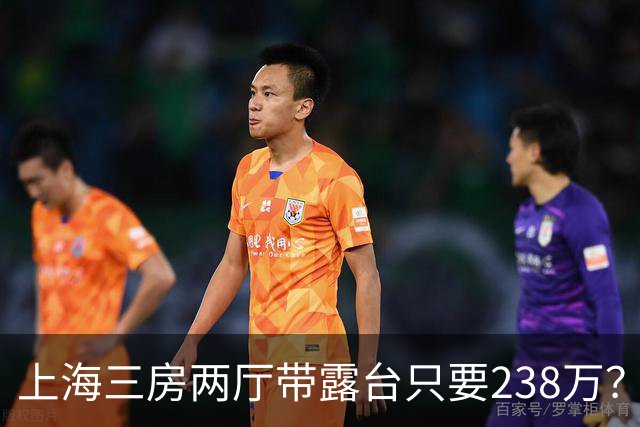 上海三房两厅带露台只要238万？12名网络发布虚假房源低价引流违法人员被抓