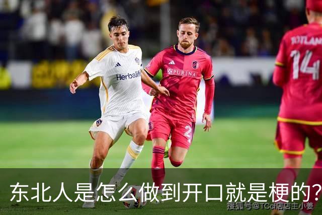 东北人是怎么做到开口就是梗的？这些词我是想破脑袋也想不出来！