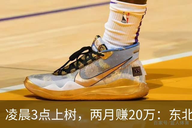 凌晨3点上树，两月赚20万：东北这份玩命工作，钱没那么好挣