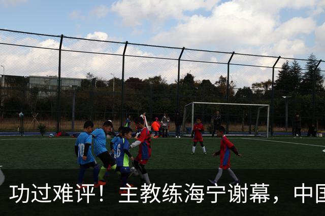 功过难评！主教练海宁谢幕，中国男排留下一道复杂考题