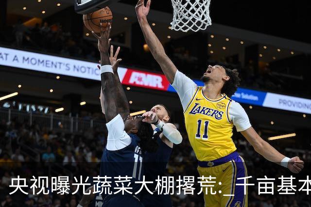 央视曝光蔬菜大棚撂荒: 千亩基本农田长满杂草, 荒废6年还在领补贴