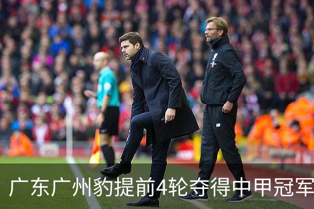 广东广州豹提前4轮夺得中甲冠军并冲超，大连英博送上贺信