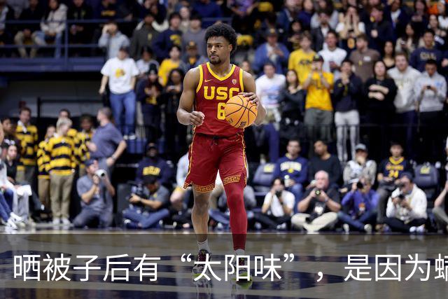 晒被子后有“太阳味”，是因为螨虫被烤焦了？科学家：太阳的功劳