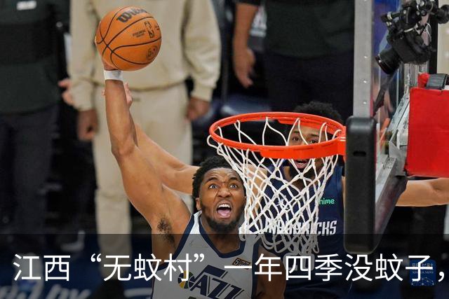 江西“无蚊村”一年四季没蚊子，是因为全村种满“驱蚊树”，超赞