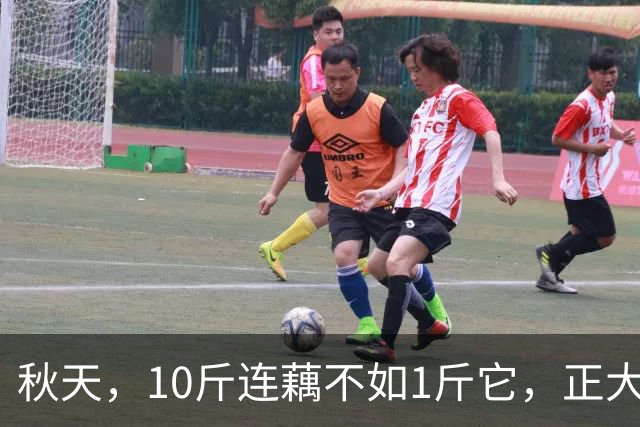 秋天，10斤连藕不如1斤它，正大量上市，多吃滋养润肺，呼呼顺畅