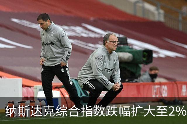 纳斯达克综合指数跌幅扩大至2%