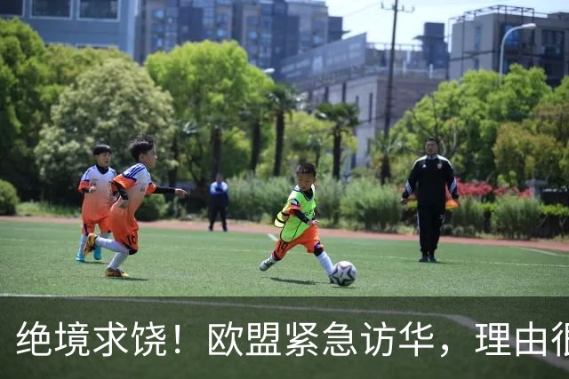 绝境求饶！欧盟紧急访华，理由很直接，阿斯麦再撑不住就要崩盘了
