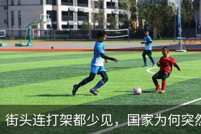 街头连打架都少见，国家为何突然再掀扫黑风暴？真相让人背后发凉