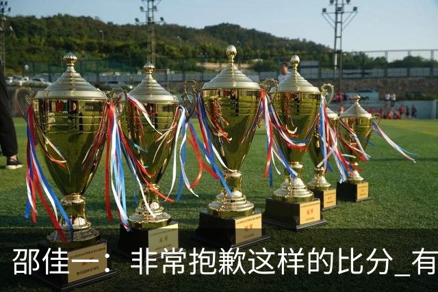 邵佳一：非常抱歉这样的比分 有球员还在想着联赛和亚冠