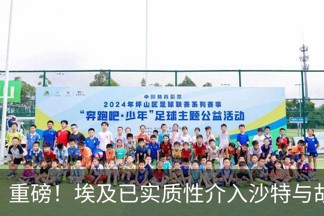 重磅！埃及已实质性介入沙特与胡塞武装的冲突