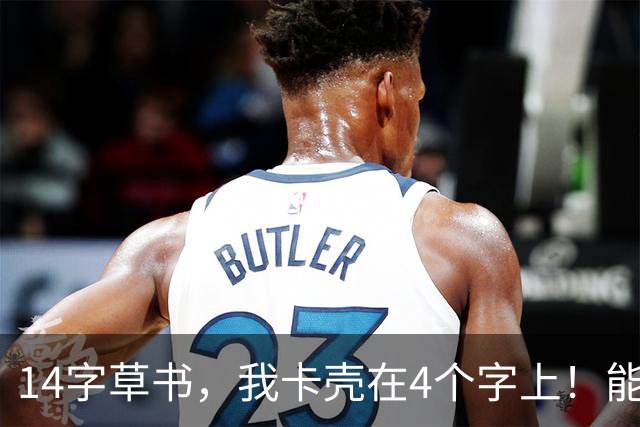 14字草书，我卡壳在4个字上！能全认的，您就是我的先生。年少嫌长辈啰嗦，如今想听那些往事，开口的人已经不在了。