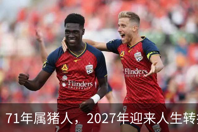 71年属猪人，2027年迎来人生转折点